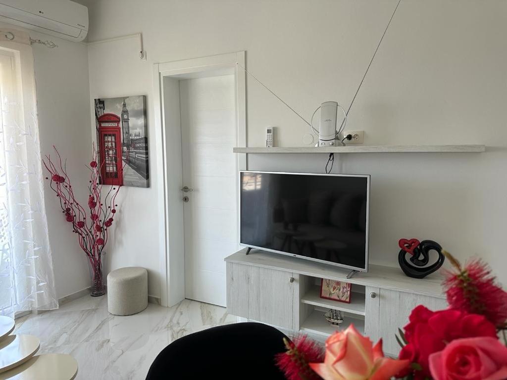 Villa Holiday Apartments 巴尔 外观 照片